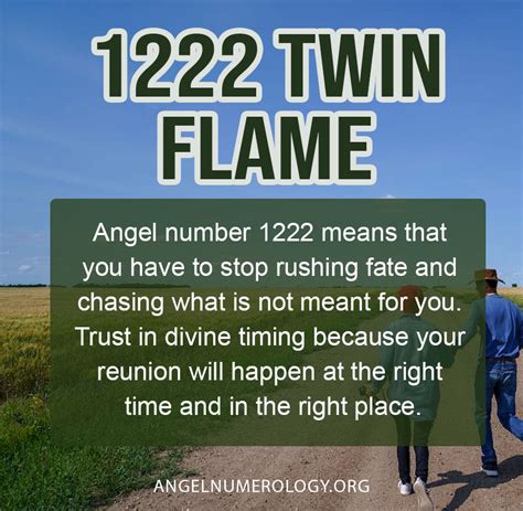 1222 angel number twin flame reunion|Unveiling The Meaning Of 1222 Angel Number Twin。